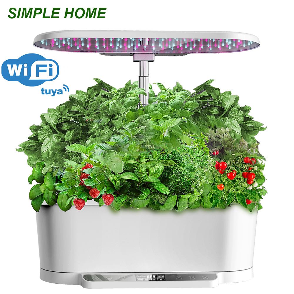 Home Garden, Hydroponic Growin – обзор и цена Smart Garden Domes