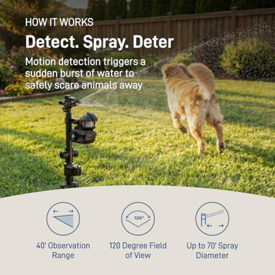 Motion-Activated Yard Sprinkle – обзор и цена Smart Garden Water