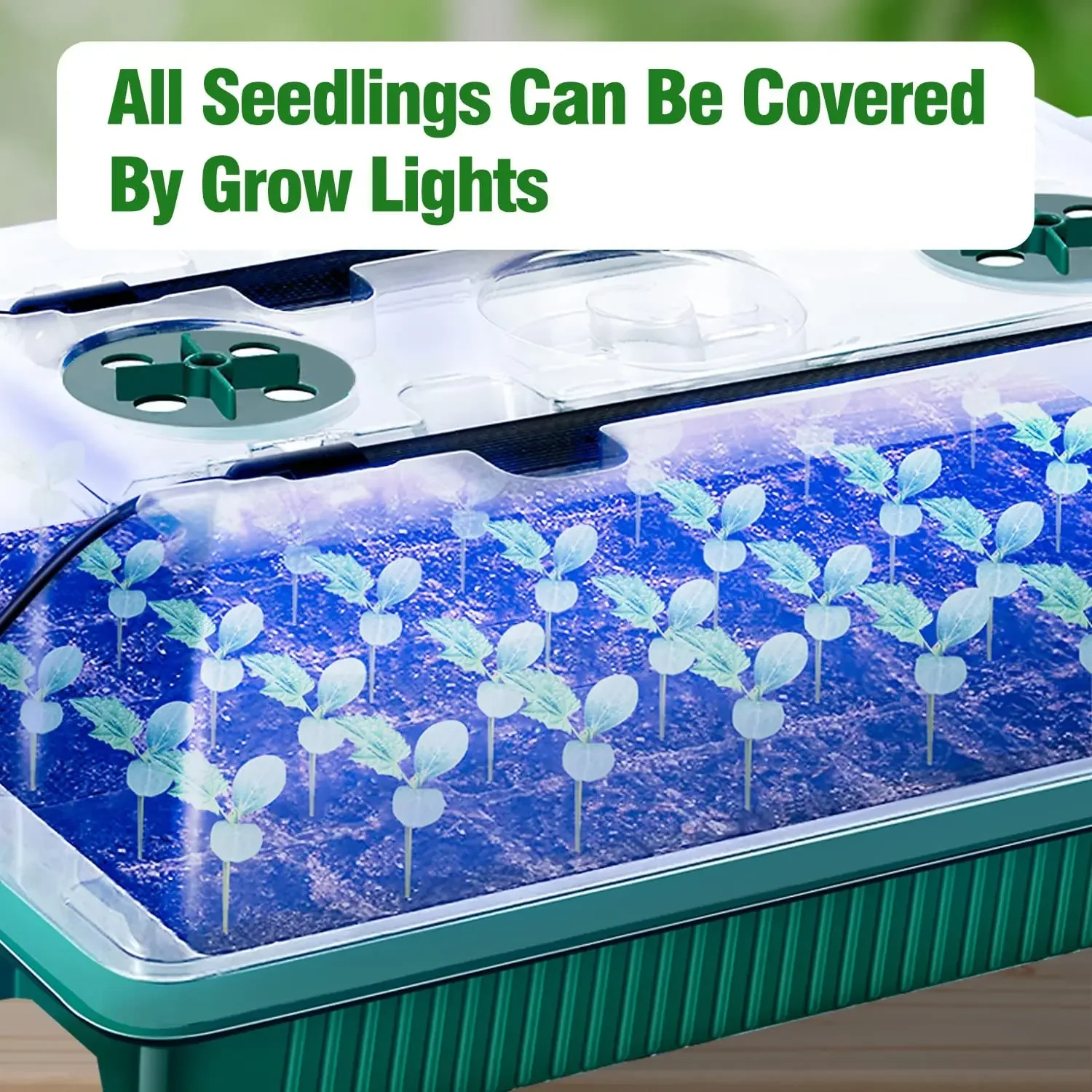 2 Packs, Seed Starter Trays Wi – обзор и цена Smart Garden Domes