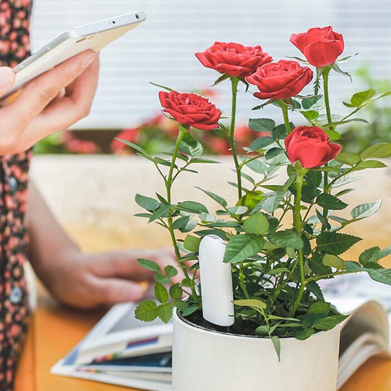 HHCC Flower Monitor Flora Gard – обзор и цена Smart Garden Water