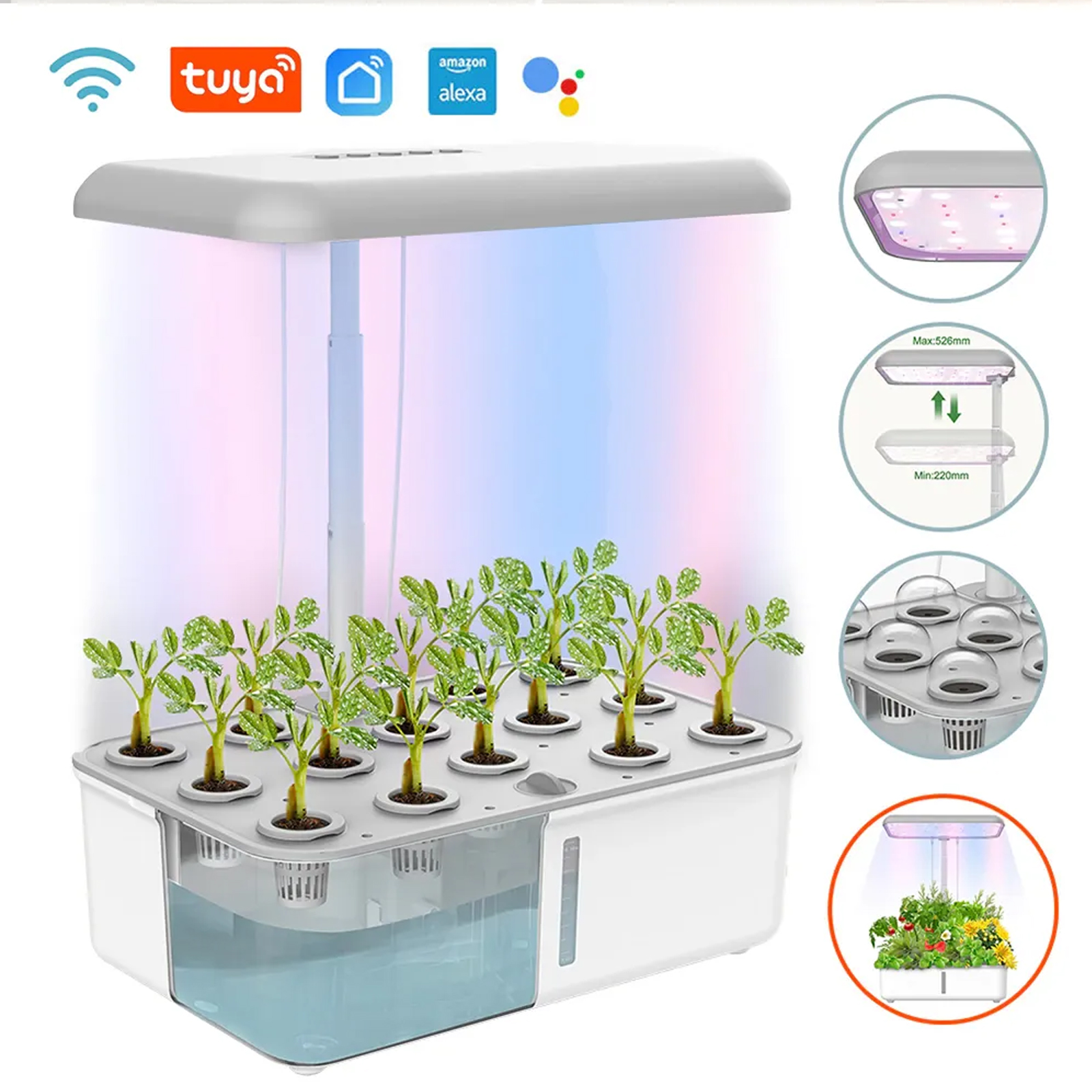 Tuya WiFi Plant Hydroponics Sy – обзор и цена Smart Garden Domes