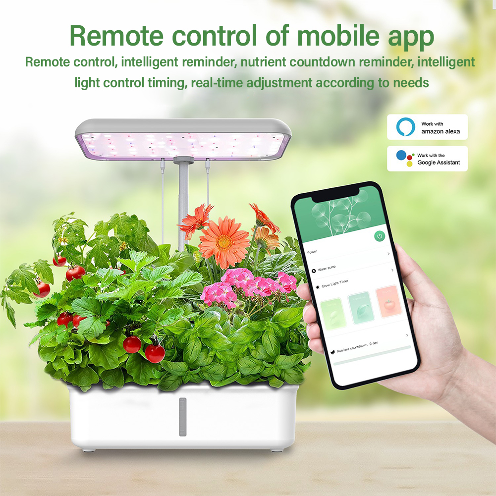 Tuya WiFi Plant Hydroponics Sy – обзор и цена Smart Garden Domes