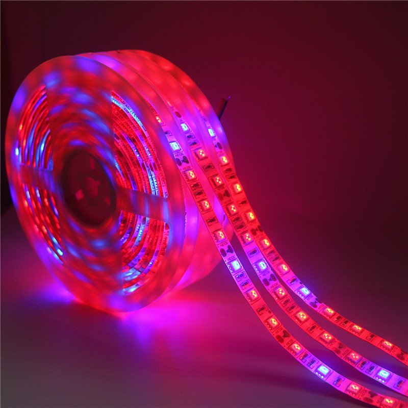LED Phyto Lamps Grow Lights SM – обзор и цена Led Plant Light Strip