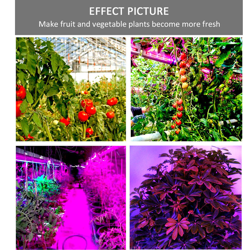 LED Phyto Lamps Grow Lights SM – обзор и цена Led Plant Light Strip