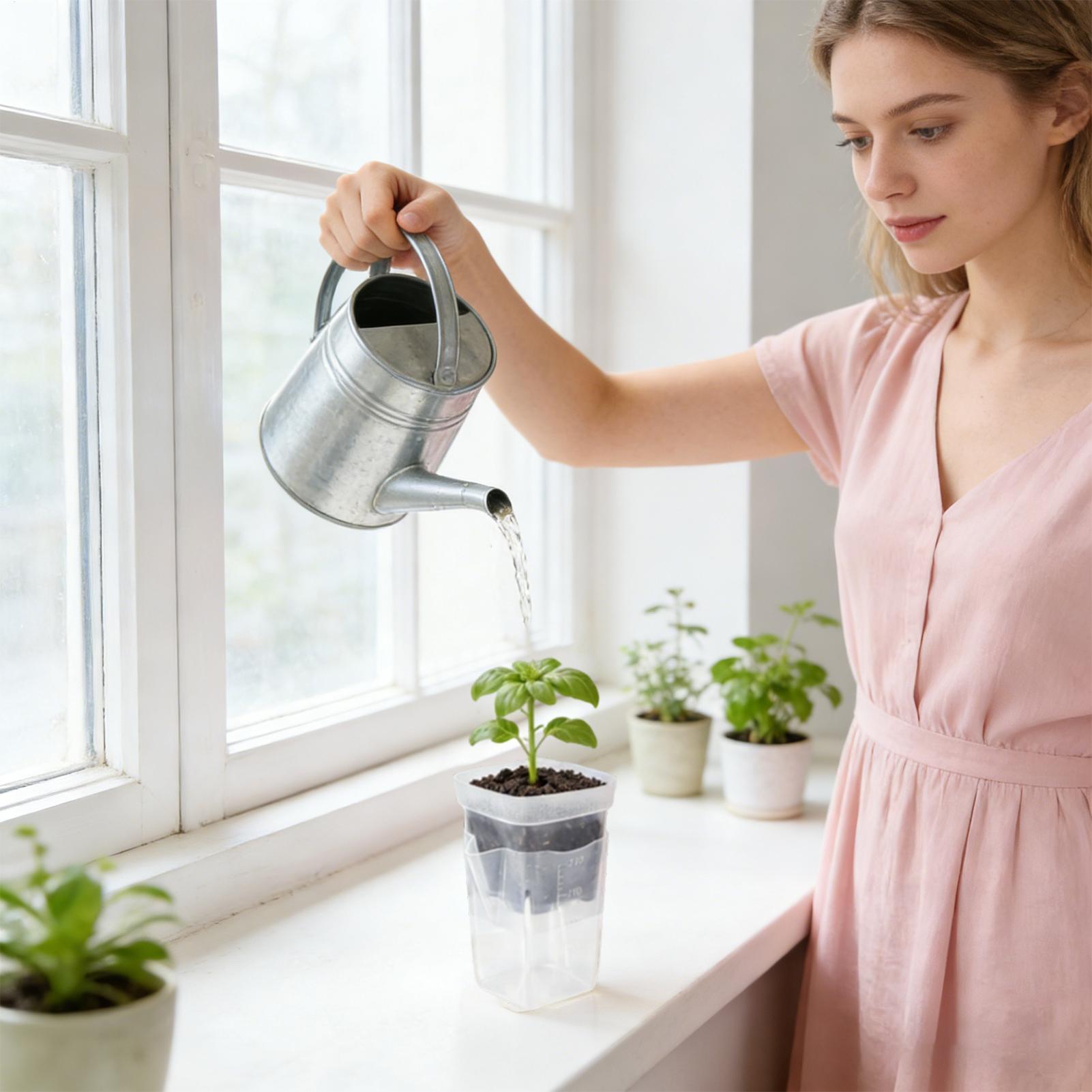 Self Watering Plant Pots 12 Pi – обзор и цена Smart Garden Domes