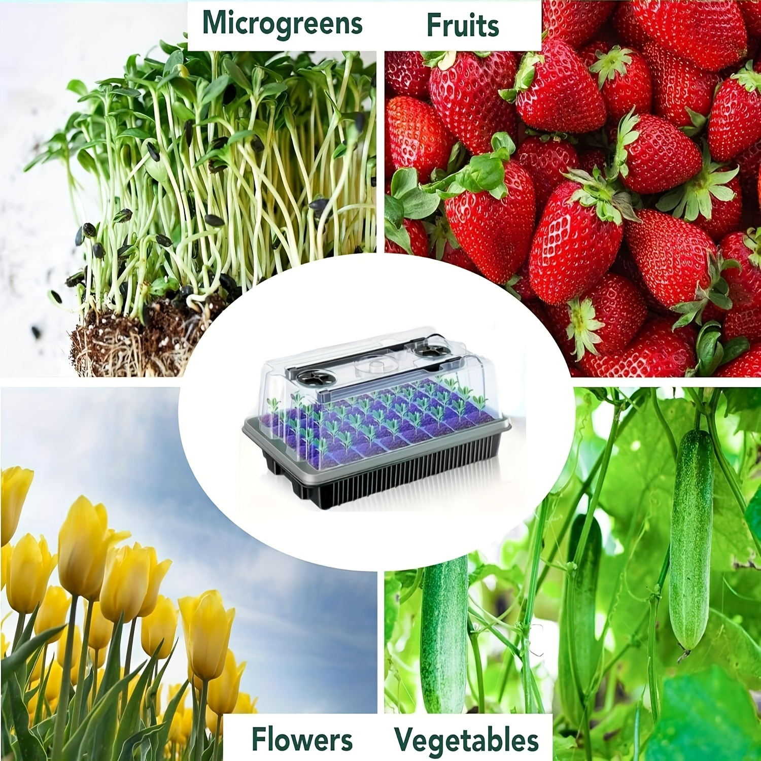 40/Cell Seed Starter Kit with  – обзор и цена Smart Garden Domes
