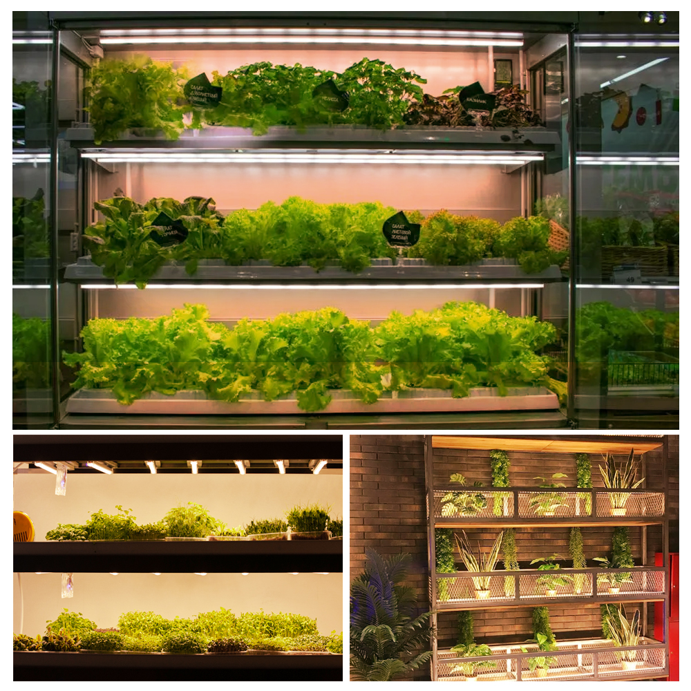 LED Grow Bar Light Set 24V 7W  – обзор и цена Led Plant Light Strip