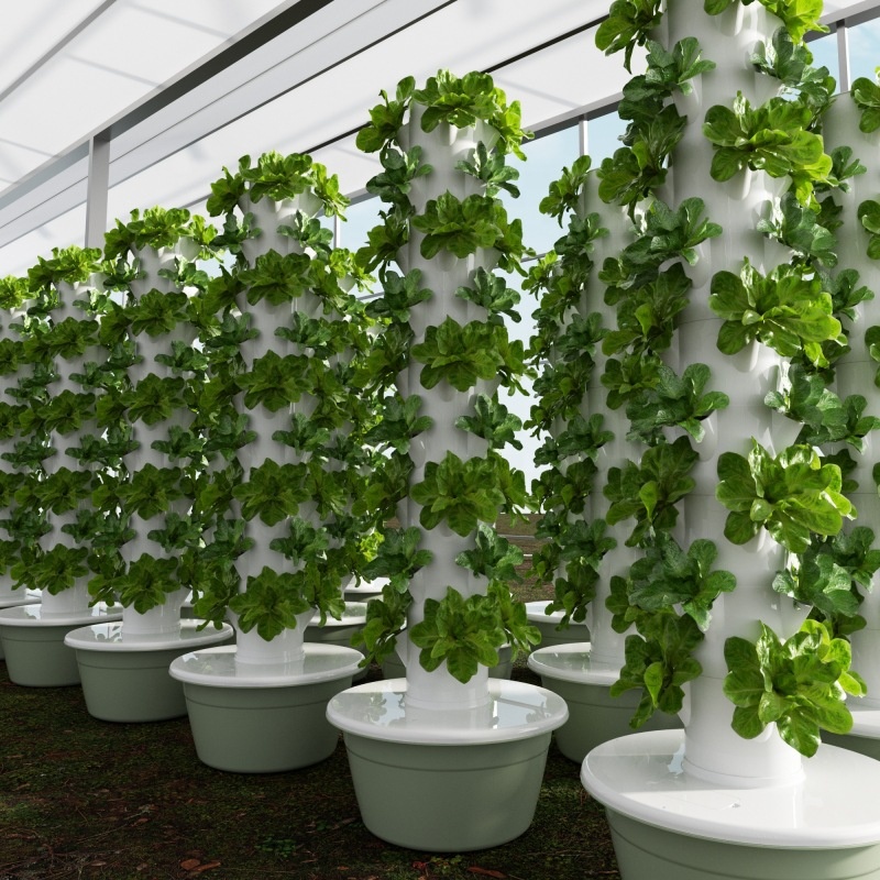2024 Smart Low Cost Greenhouse – обзор и цена Smart Garden Greenhouse