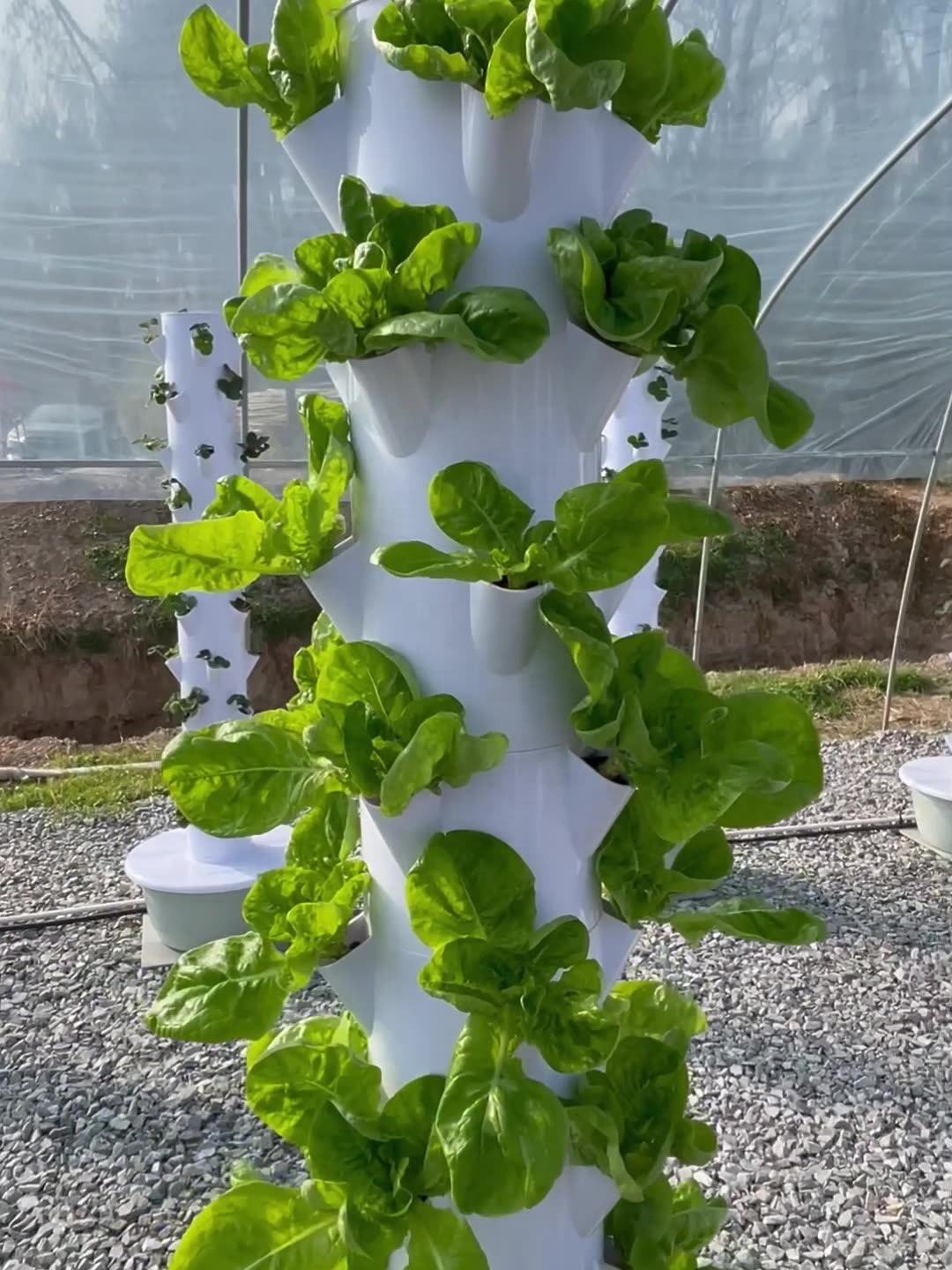 2024 Smart Low Cost Greenhouse – обзор и цена Smart Garden Greenhouse