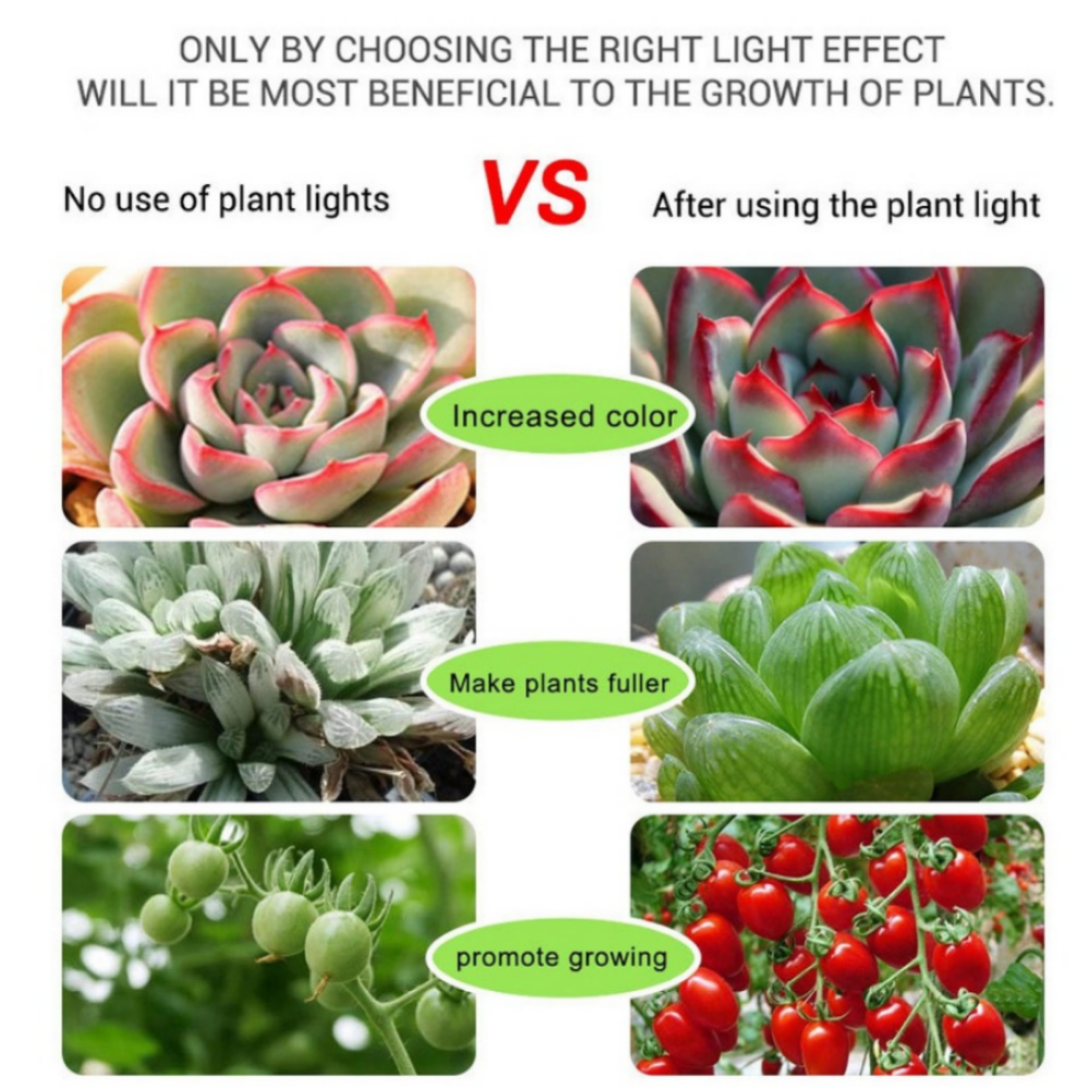 DC 5V USB LED Grow Light Full  – обзор и цена Led Plant Light Strip