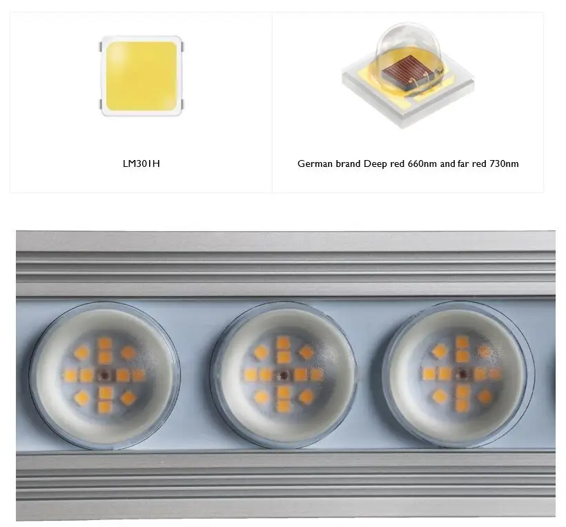 Koray 900W Indoor full spectru – обзор и цена Led Plant Light Strip