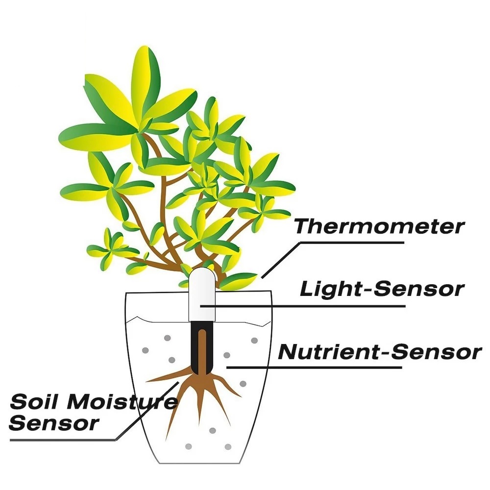 HHCC Flower Monitor Flora Gard – обзор и цена Smart Garden Water