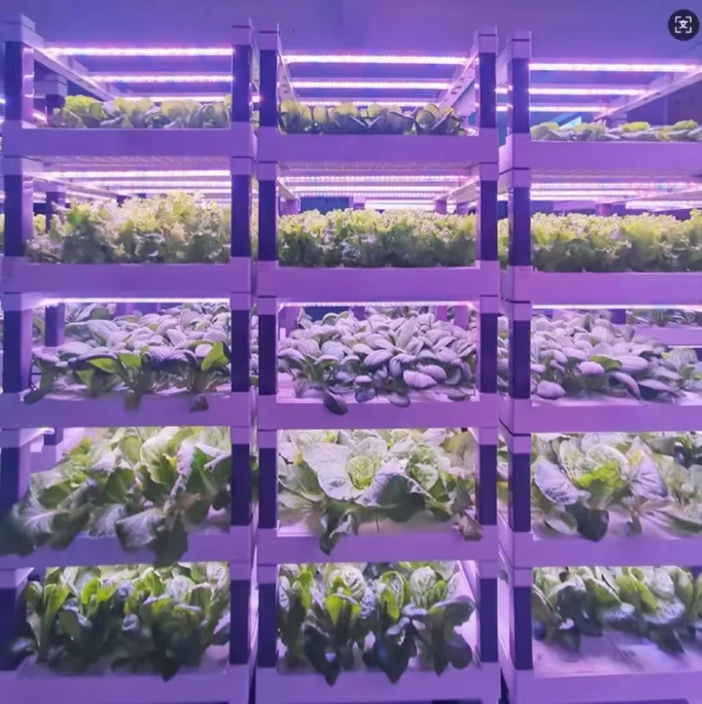 Hydroponic Grow System Greenho – обзор и цена Smart Garden Greenhouse