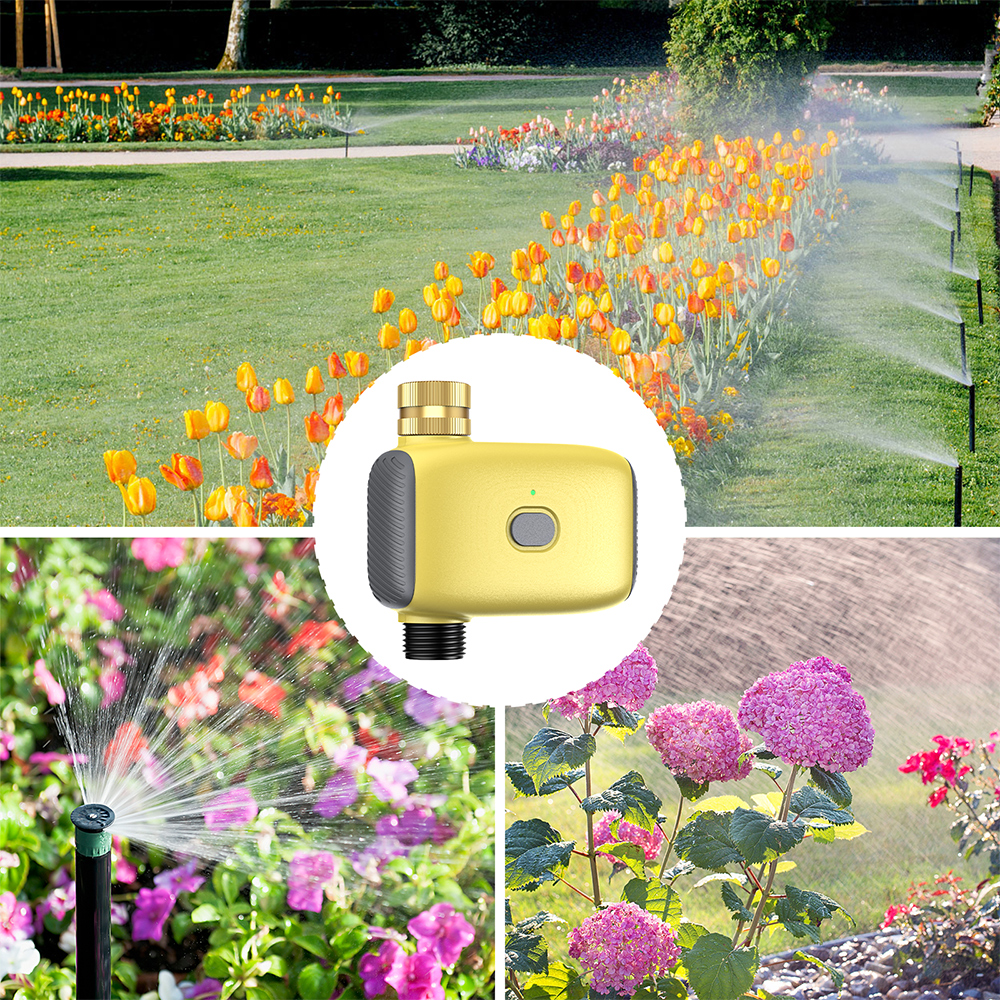 Wholesale Smart Digital  Water – обзор и цена Smart Garden Water